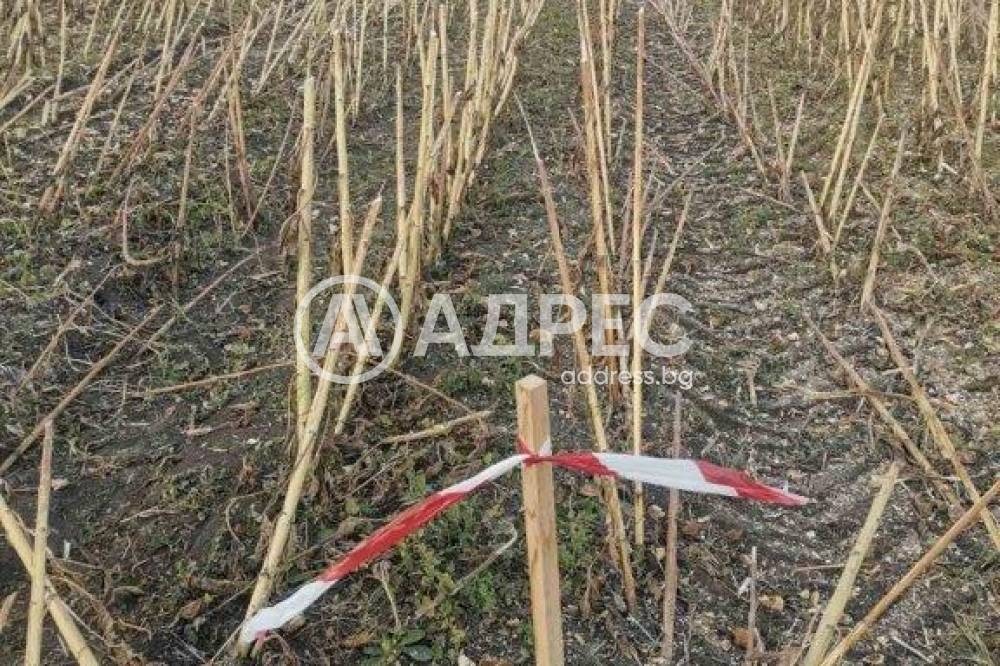 Продава ПАРЦЕЛ, с. Пролеша, област София област, снимка 3 - Парцели - 55626933