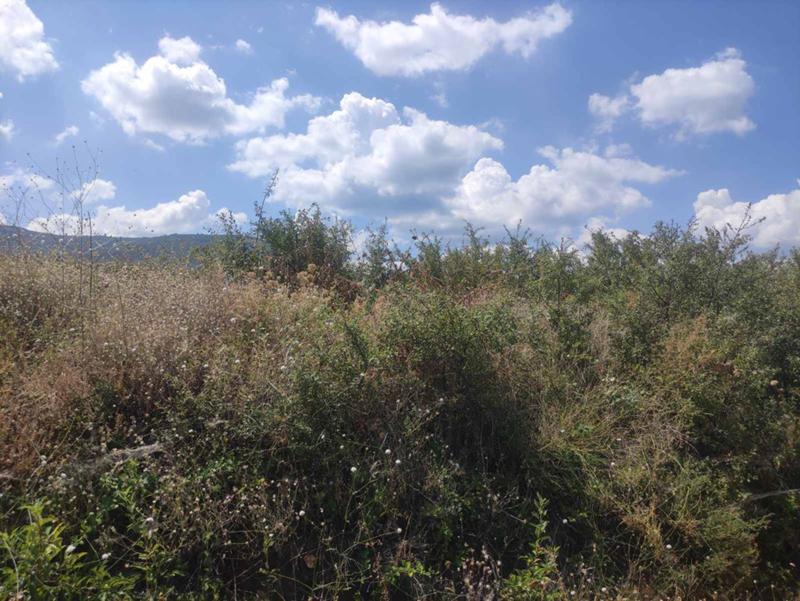 ������� ������ | Imot.bg � ����������� 3