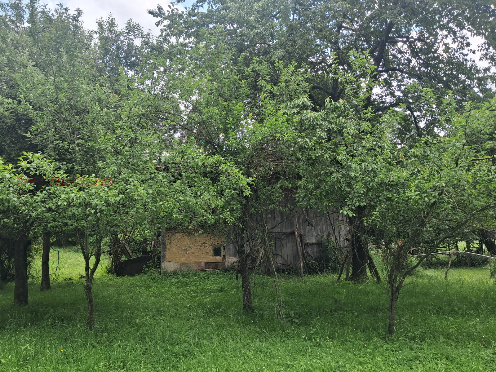 Продава КЪЩА, с. Попска, област Габрово, снимка 10 - Къщи - 55597327