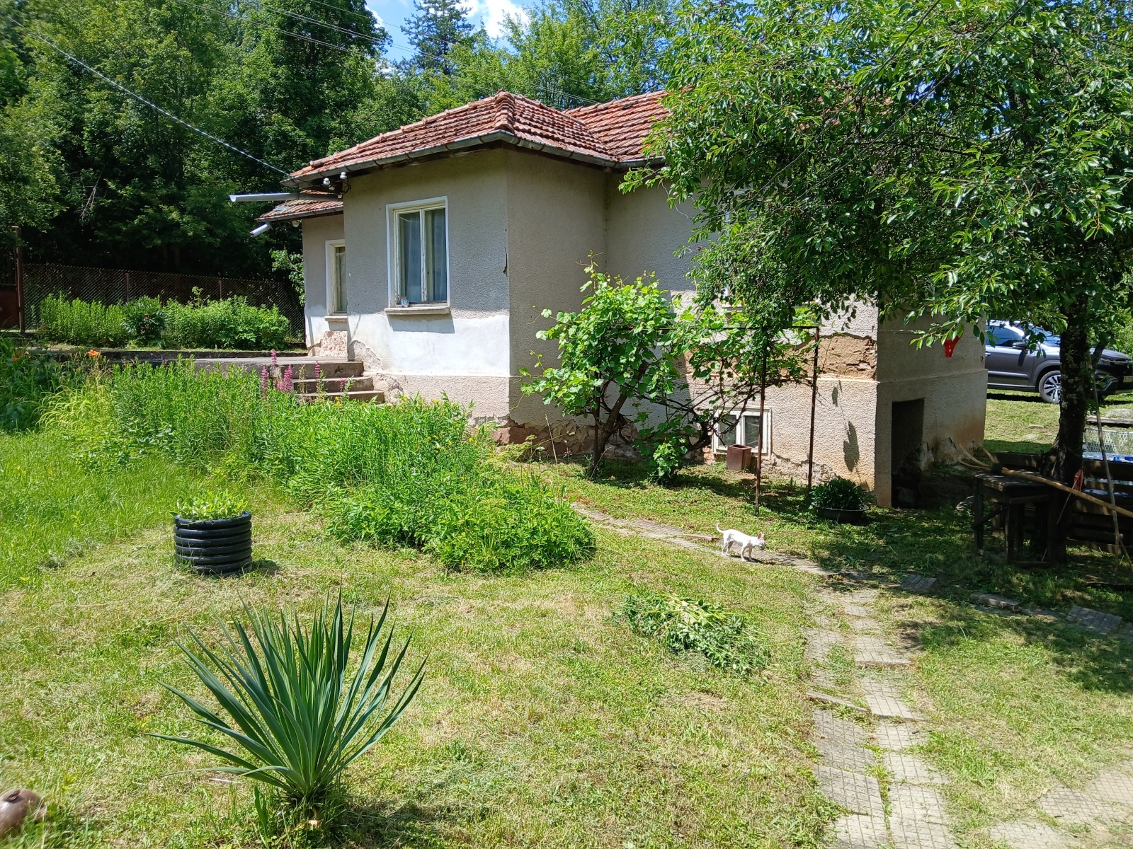 Продава ПАРЦЕЛ, с. Глоговица, област Перник, снимка 5 - Парцели - 54996397