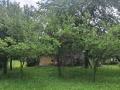 Продава КЪЩА, с. Попска, област Габрово, снимка 10