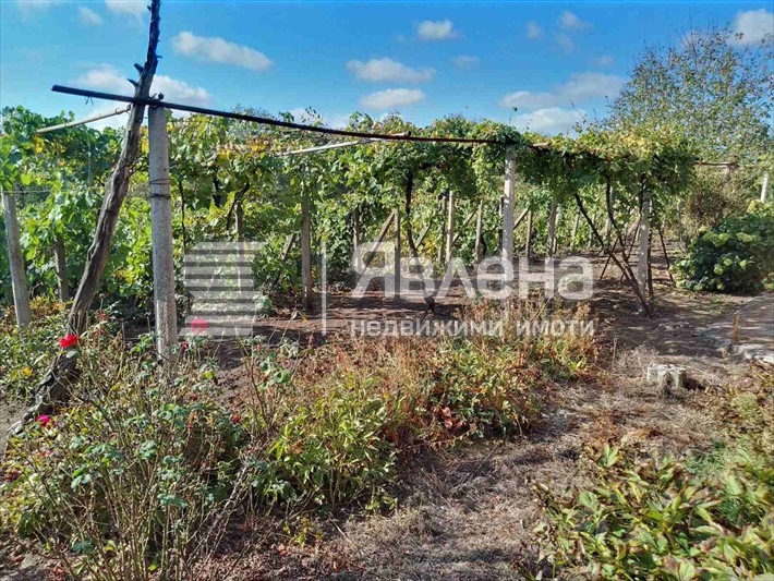 Zu verkaufen  Haus region Dobritsch , Belgun , 200 qm | 36643510 - Bild [2]