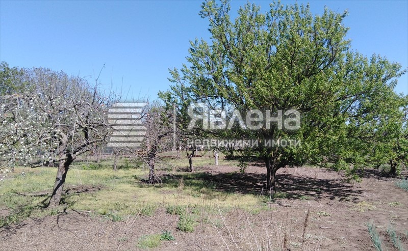Zu verkaufen  Haus region Dobritsch , Belgun , 200 qm | 36643510 - Bild [7]