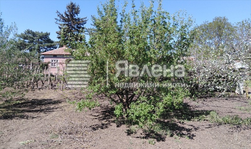 Zu verkaufen  Haus region Dobritsch , Belgun , 200 qm | 36643510 - Bild [6]