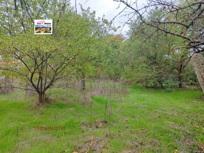 Продава  Къща област Добрич , с. Полковник Свещарово , 60 кв.м | 20332720 - изображение [8]