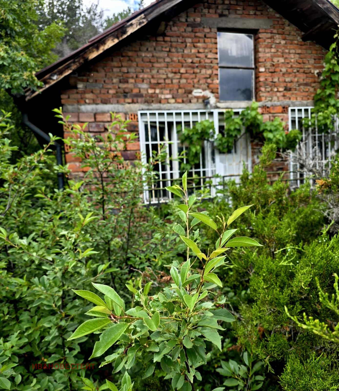 Продава КЪЩА, с. Драговищица, област София област, снимка 6 - Къщи - 54921046