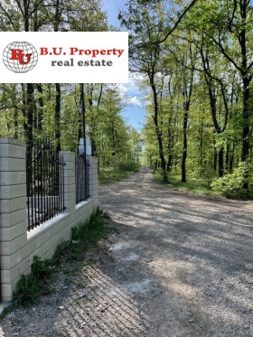 Hus Kladnitsa, region Pernik 6