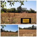 Продава КЪЩА, с. Бъркачево, област Враца, снимка 17