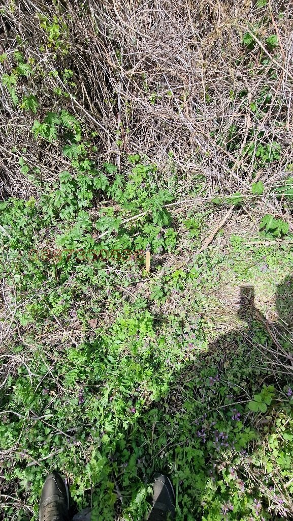 ������� ������ | Imot.bg � ����������� 9