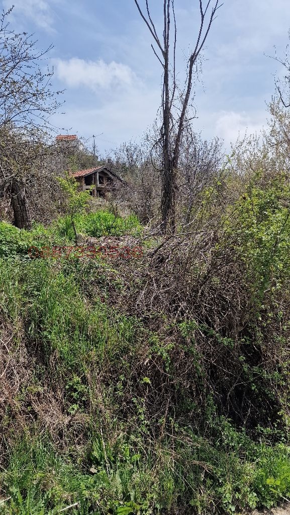 ������� ������ | Imot.bg � ����������� 15