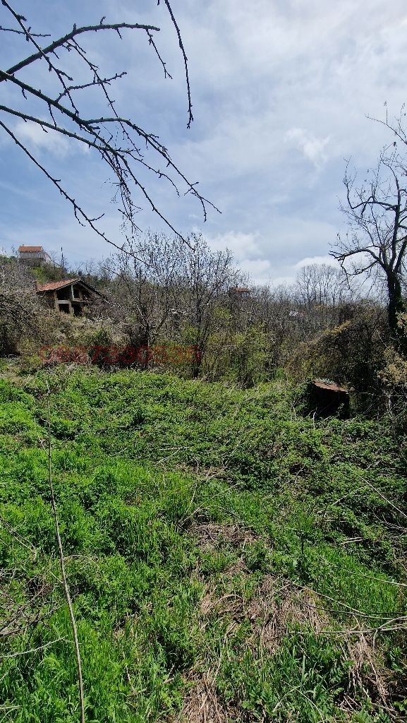 ������� ������ | Imot.bg � ����������� 14