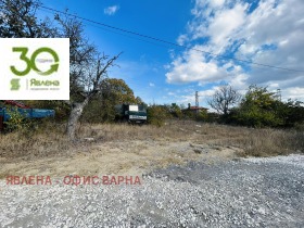 ����� ������� ������,���� �����, �-� ����� �����