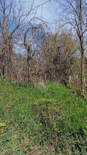 ������� ������ | Imot.bg � ����� ������ 17