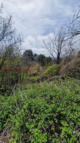 ������� ������ | Imot.bg � ����� ������ 13