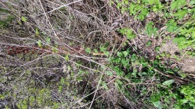 ������� ������ | Imot.bg � ����� ������ 8