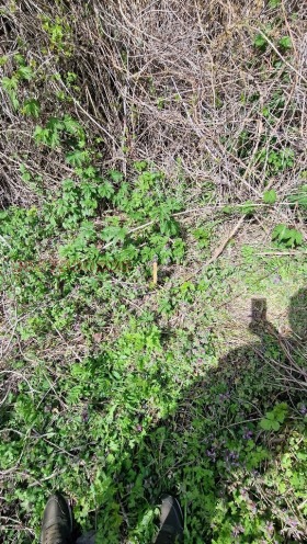 ������� ������ | Imot.bg � ����� ������ 9