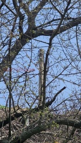 ������� ������ | Imot.bg � ����� ������ 3