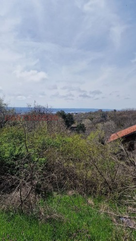 ������� ������ | Imot.bg � ����� ������ 5