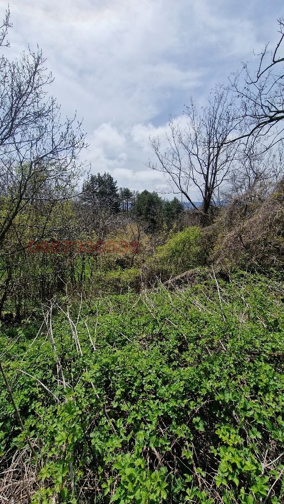 Продава ПАРЦЕЛ, гр. Варна, м-т Сотира, снимка 13 - Парцели - 54337566