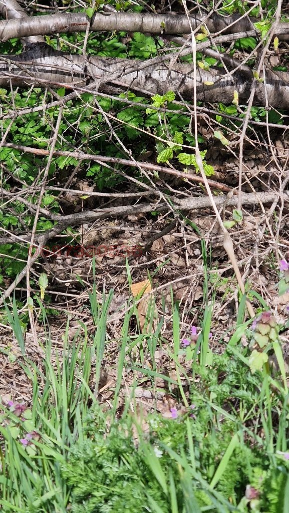 Продава ПАРЦЕЛ, гр. Варна, м-т Сотира, снимка 4 - Парцели - 54337566