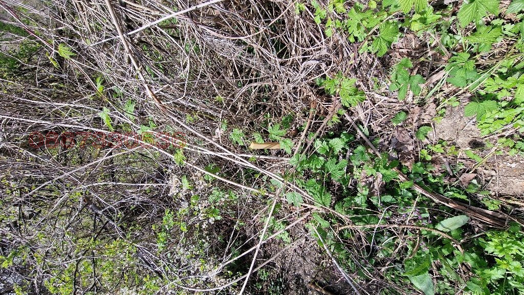 Продава ПАРЦЕЛ, гр. Варна, м-т Сотира, снимка 8 - Парцели - 54337566