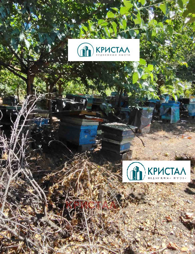 ������� ���� | Imot.bg � ����������� 7