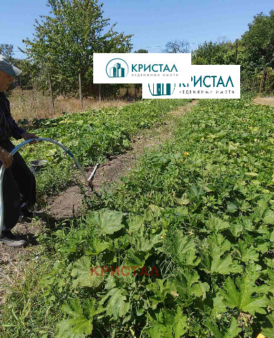 ������� ���� | Imot.bg � ����������� 5