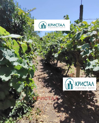 ������� ���� | Imot.bg � ����������� 8