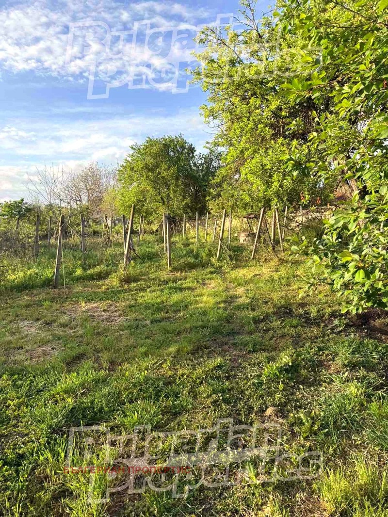Продава ПАРЦЕЛ в област Шумен, с. Илия Блъсково - 2800 кв.м / 35 790 € » 69 999.16 лв., БЪЛГЕРИАН ПРОПЕРТИС