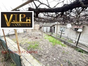 ����� ������� ���� �� ����,���� �����, ����������