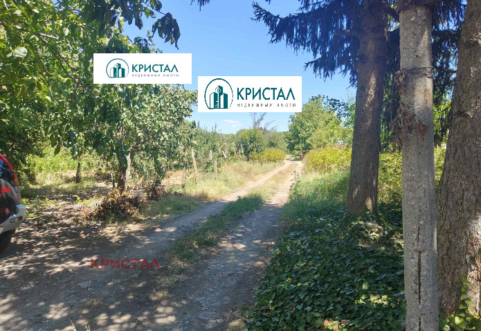 Продава КЪЩА, с. Конуш, област Пловдив, снимка 2 - Къщи - 49551159