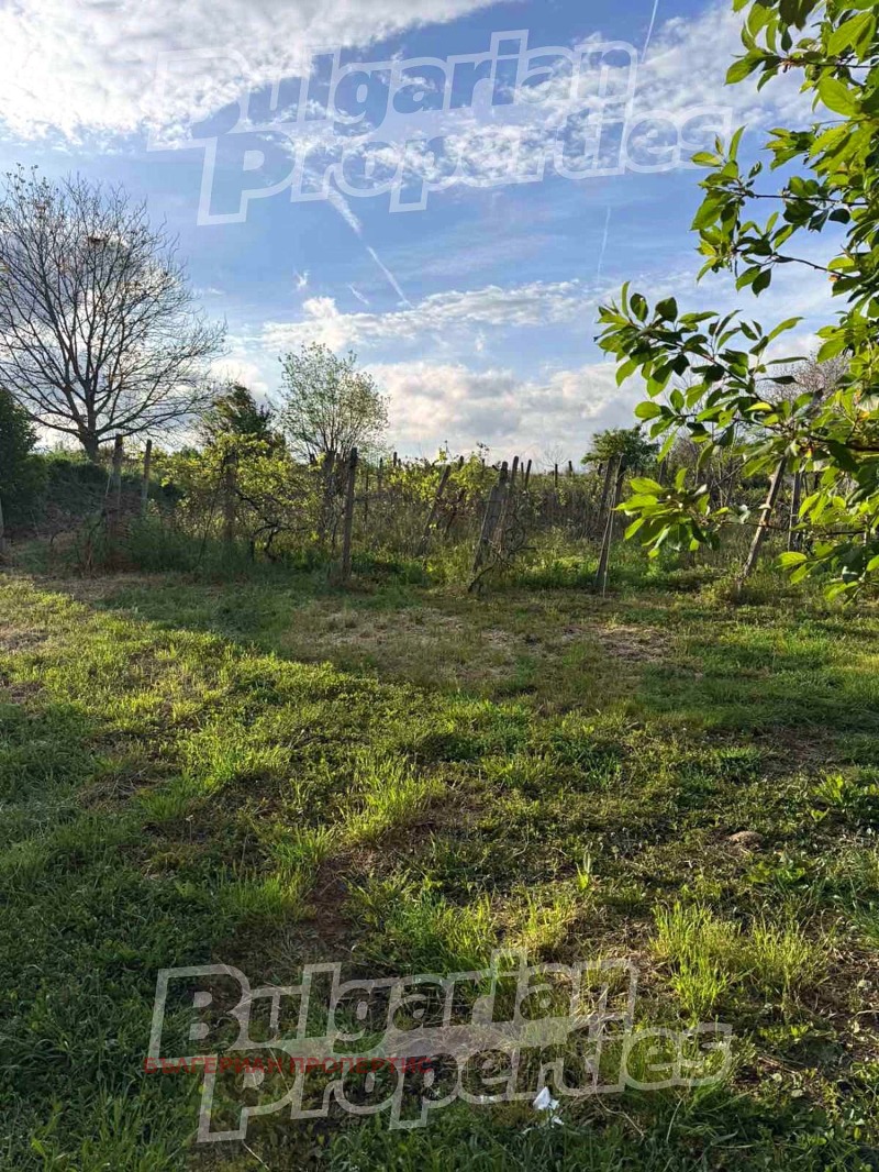 Til salg  Grund region Shumen , Iliya Blaskovo , 2800 kvm | 90785764 - billede [2]