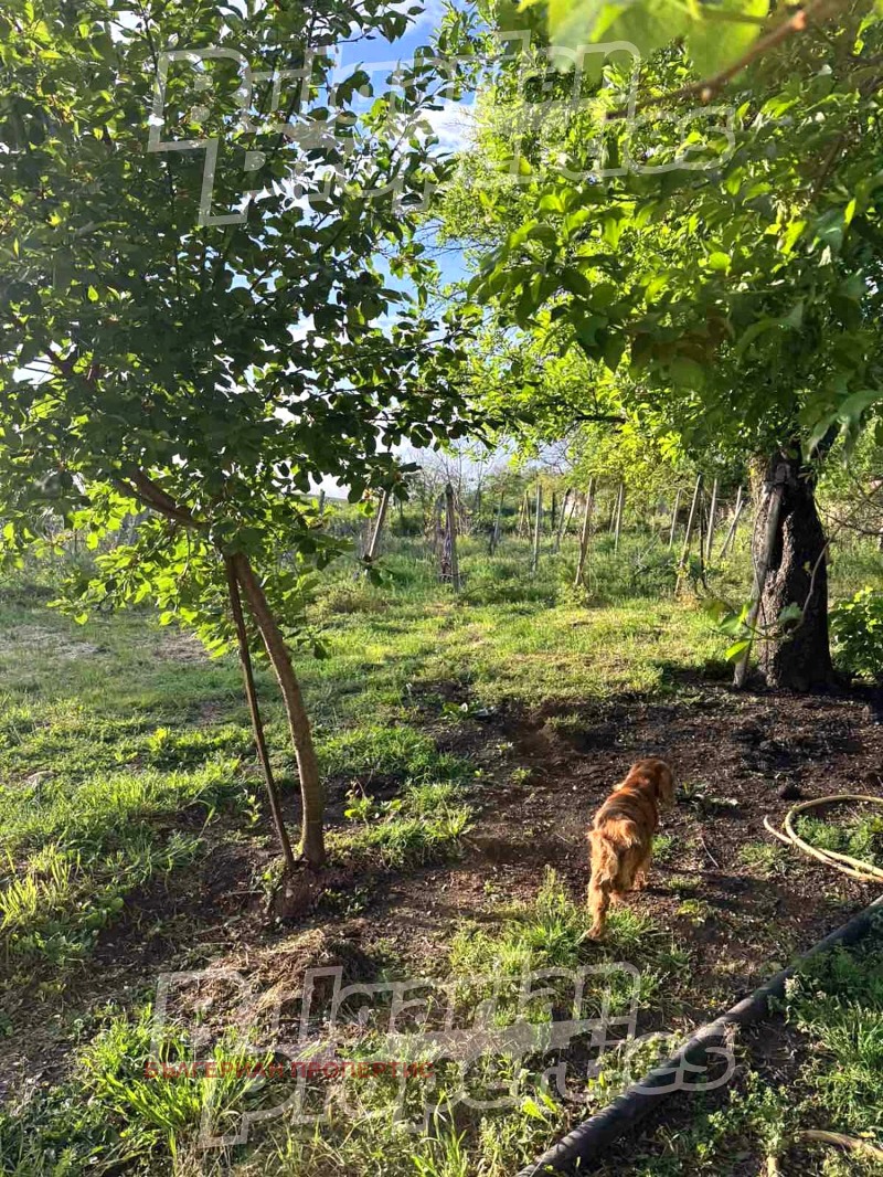 Til salg  Grund region Shumen , Iliya Blaskovo , 2800 kvm | 90785764 - billede [4]