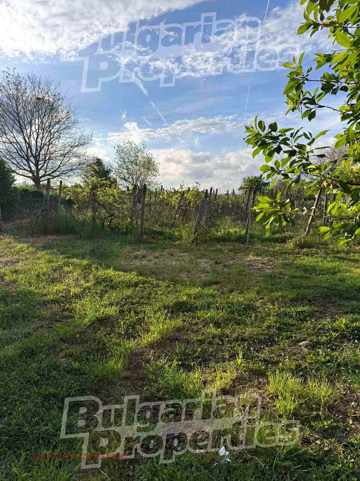 Продава ПАРЦЕЛ, с. Илия Блъсково, област Шумен, снимка 2 - Парцели - 50901253