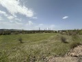Продава ЗЕМЕДЕЛСКА ЗЕМЯ, гр. Перник, област Перник, снимка 5