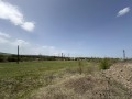Продава ЗЕМЕДЕЛСКА ЗЕМЯ, гр. Перник, област Перник, снимка 3