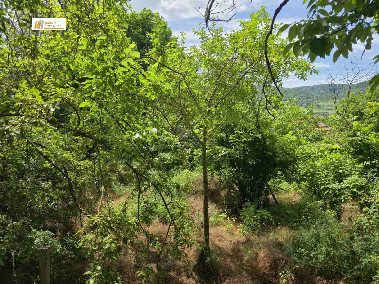������� ������ | Imot.bg � ����������� 4