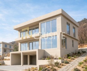 ������ ������� ����