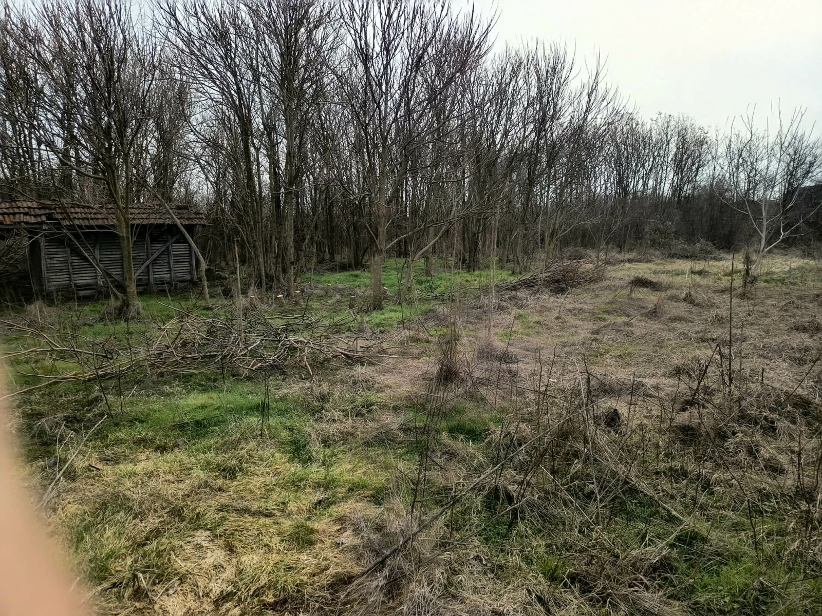 Продава КЪЩА, с. Българене, област Плевен, снимка 7 - Къщи - 53827175