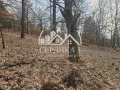 Продава ВИЛА, с. Царичина, област София област, снимка 10