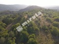 Продава ПАРЦЕЛ, град Велико Търново, Бузлуджа • 2678250 € • 95675310 — Holmes.bg