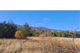 For Sale Plot