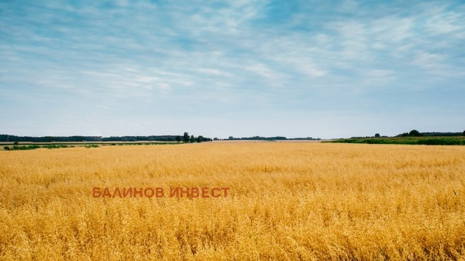 Продава ЗЕМЕДЕЛСКА ЗЕМЯ, с. Баново, област Варна, снимка 1 - Земеделска земя - 45779046