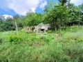 Продава ПАРЦЕЛ, област Варна, с. Кипра • 45000 € • 29499714 — Holmes.bg