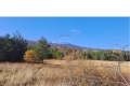 Продава ПАРЦЕЛ, област Пазарджик, гр. Батак • 124120 € • 36553206 — Holmes.bg