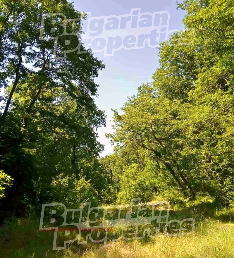 Продава ПАРЦЕЛ в област Варна, с. Близнаци - 3580 кв.м / 18 000 € » 35 204.94 лв., БЪЛГЕРИАН ПРОПЕРТИС