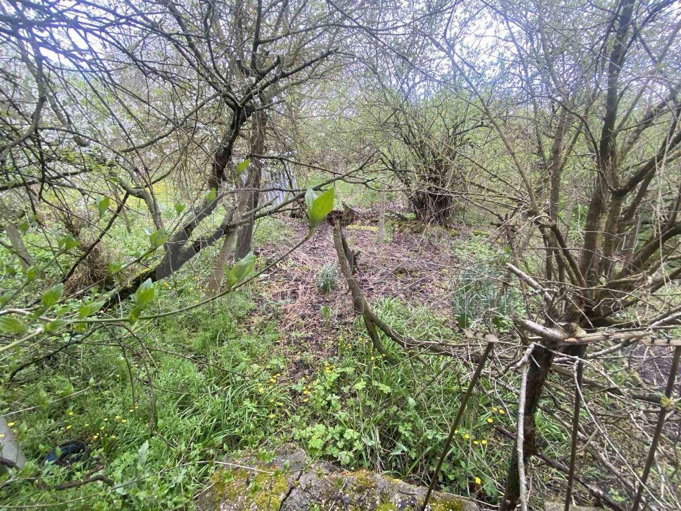 ������� ���� | Imot.bg � ����������� 11