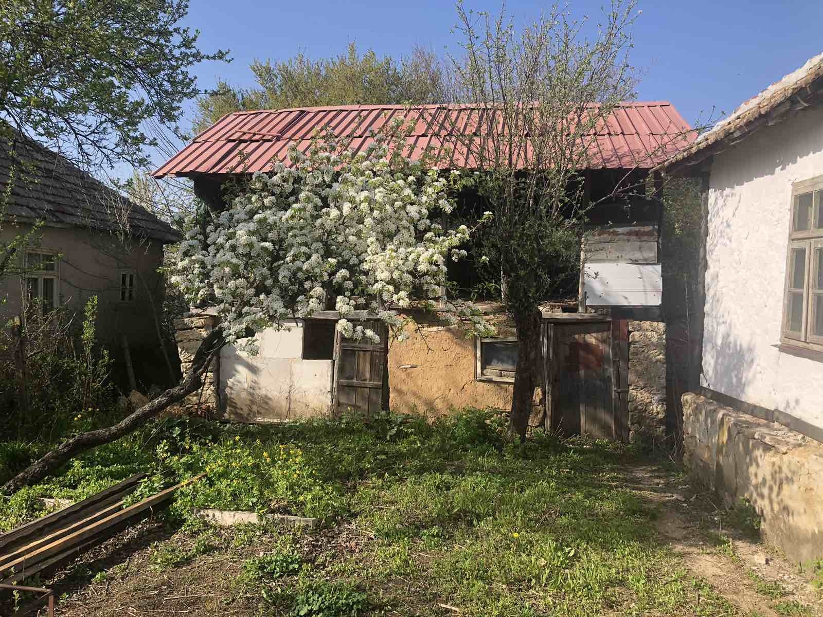 ������� ���� | Imot.bg � ����������� 7