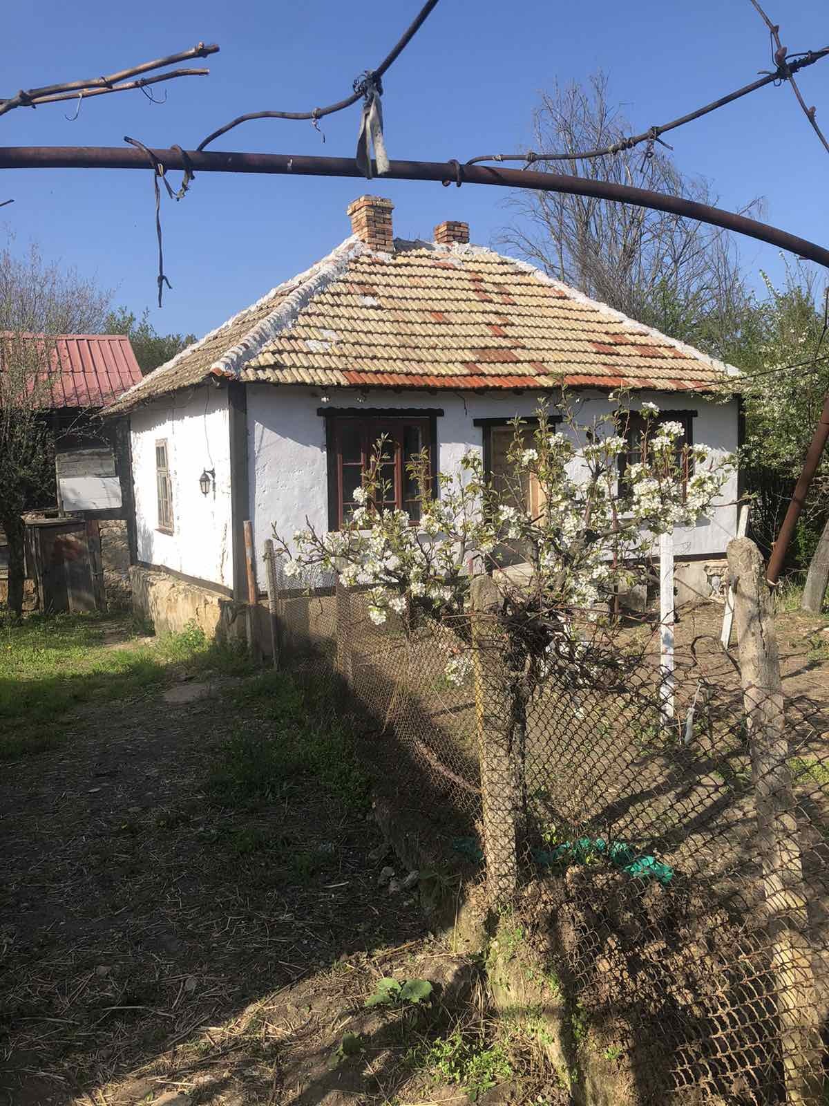 ������� ���� | Imot.bg � ����������� 10