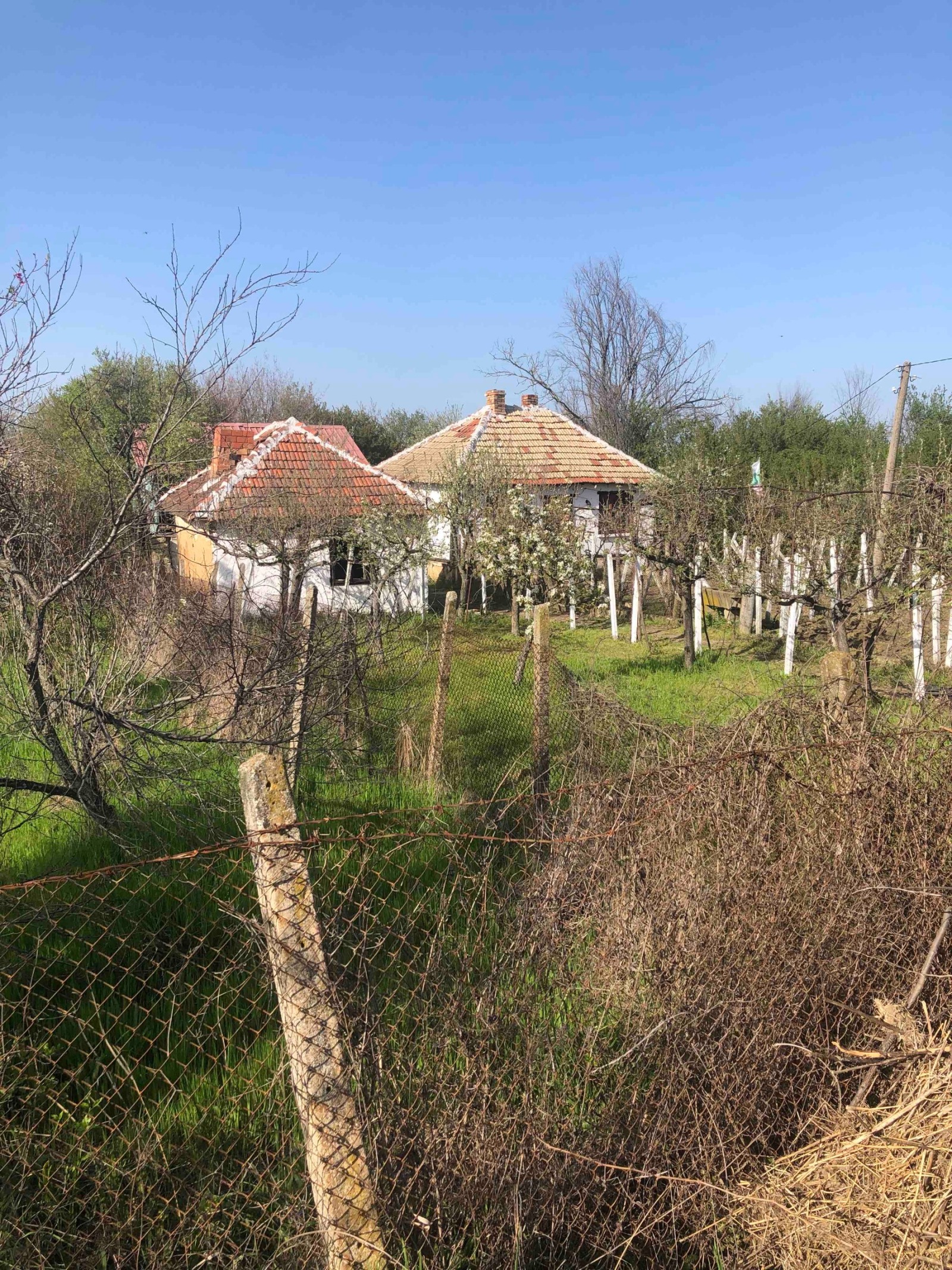 ������� ���� | Imot.bg � ����������� 1